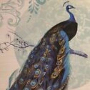 Meet your Posher, Unique Peacock